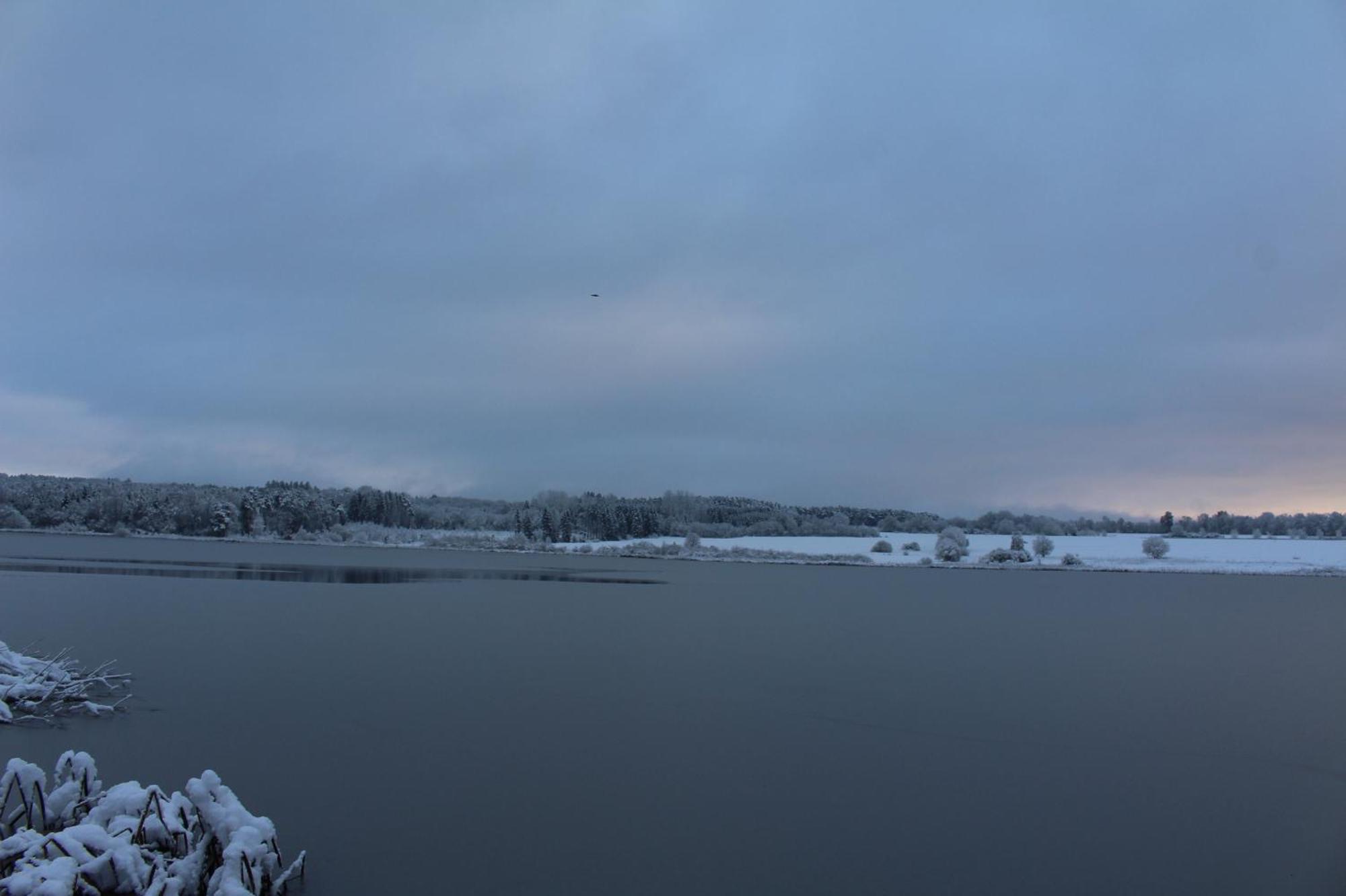 Ferienwohnungen Eifelstuben Mit Charme - Am See, Nahe Burg Ulmen Екстериор снимка